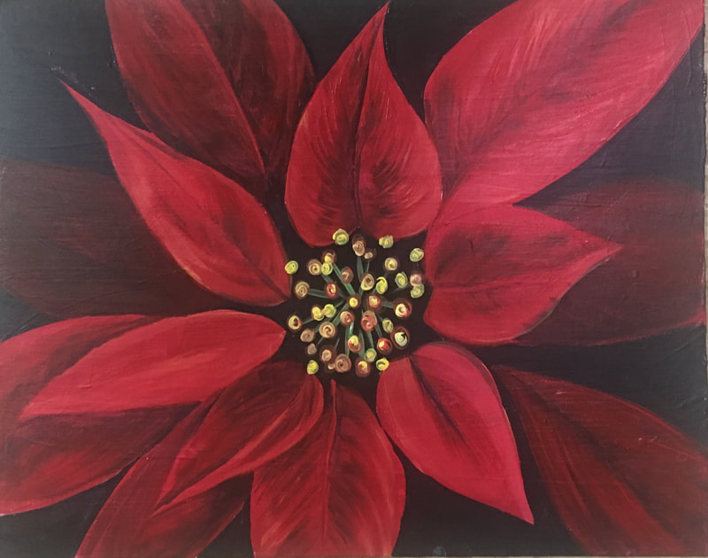 222 Poinsettia